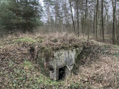 Waldkrankenhaus Und Endo Klinik Archiv Wintermoor