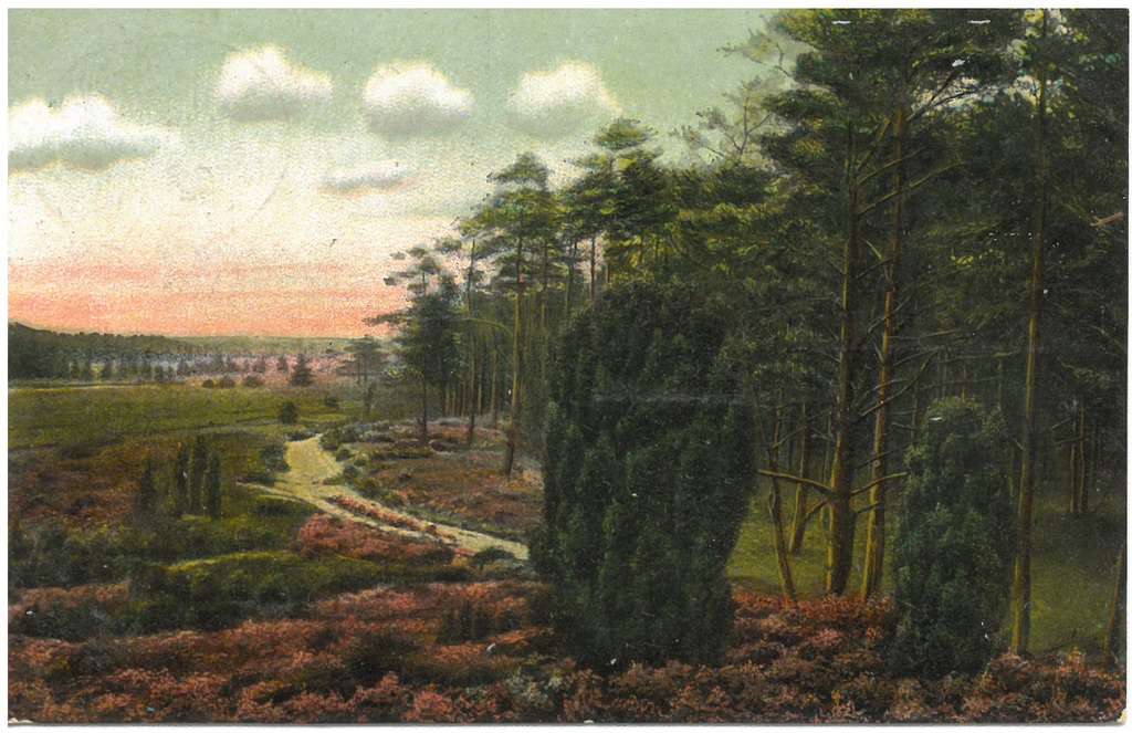 Kolorierte Ansichtskarte vom Weg Wintermoor nach Wilsede vor 1911