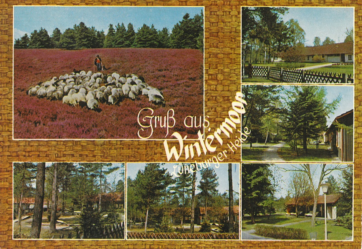 Ansichtskarte Wintermoor um 1975, Reher Verlag Nr 580