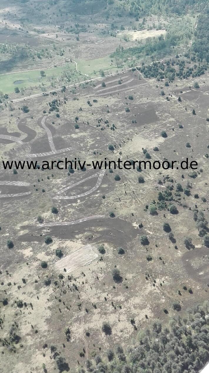 Luftbild Heideflächen Nahe Des Wümmequellmoors Bei Niederhaverbeck Im Mai 2017 Detail Web