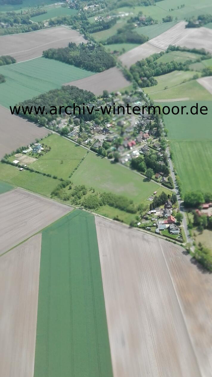 Luftbild Kiefernbusch Unscharf Im Mai 2017 Web