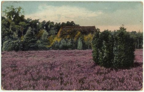 handcolorierte Ansichtskarte um 1910 mit einem Heidehof in Wintermoor Schneverdingen