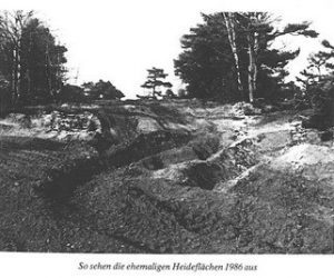 So sehen die ehemalige Heideflächen 1986 aus - Bild aus dem Buch von Walter Peters