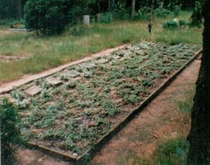 Massengrab für Alliierte Soldaten, die in und um Wintermoor während des Zweiten Weltkriegs gestorben sind - Friedhof Wintermoor 1996