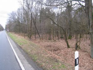 Bundesstraße alte Zufahrt nach Kamperheide 2017